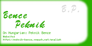 bence peknik business card